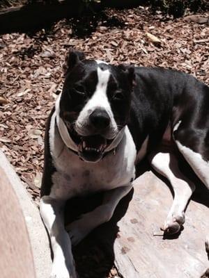 photo of Margaret T.