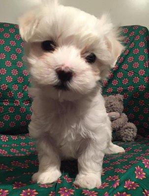 photo of Maria-Jose S.