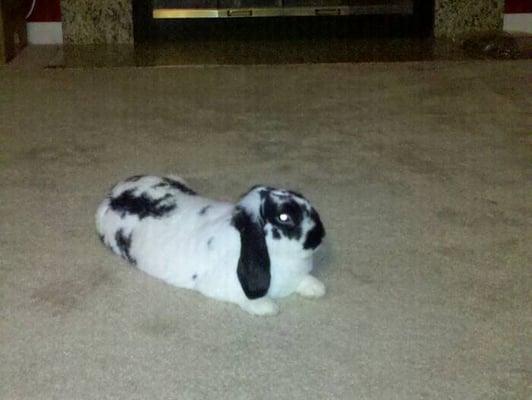 Photo of Lucky M.