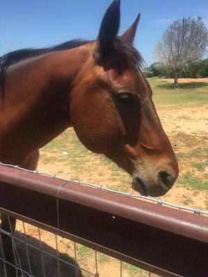 photo of Jennifer K.