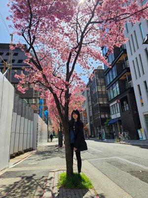Photo of Siyu T.