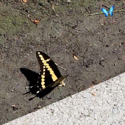 photo of That One G.