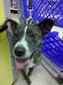 photo of Stephanie B.