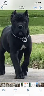 photo of Gilberto M.