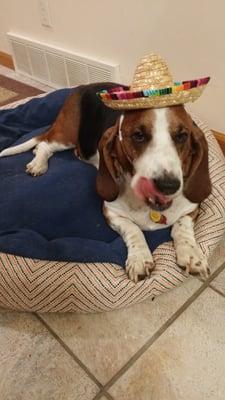 photo of Elizabeth W.