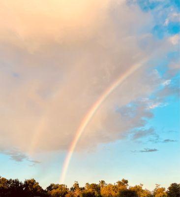 photo of Michelle C.