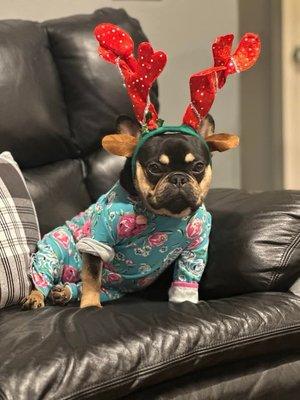 photo of Monzters L.