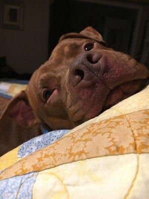 photo of Kristine R.