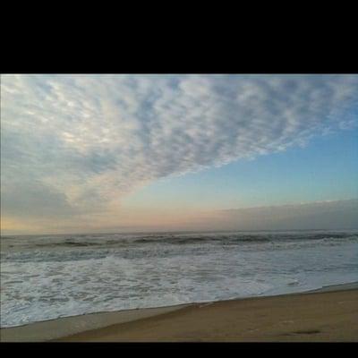 photo of Neetster O.