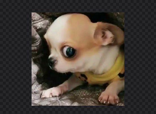 photo of Christian F.