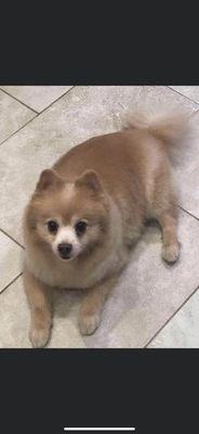 photo of Maryanna Q.