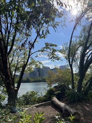 photo of Charlotte D.