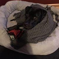 photo of Stephanie C.