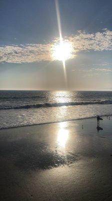 photo of Courtney D.