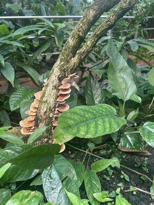 photo of Sushi Eater A.