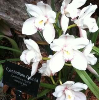 photo of Jennifer G.