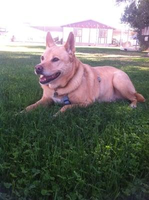 photo of Michelle R.