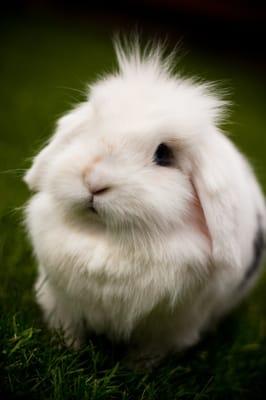 Photo of Miss L.