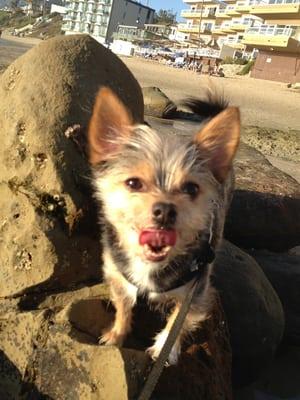 photo of Ma Theresa B.