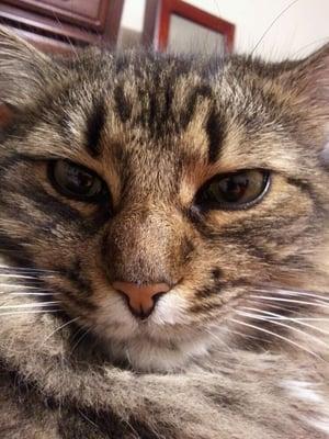 photo of Marinell M.