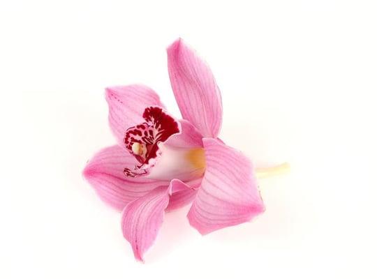 Photo of Miliana S.