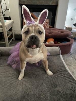 Photo of Chanelle C.