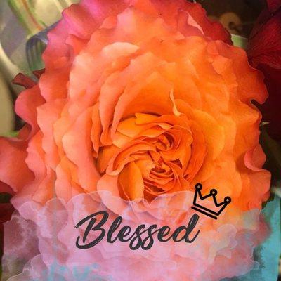 Photo of Deshonda P.