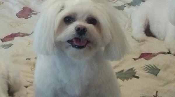 photo of Teejay N.