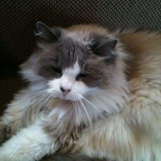 photo of Elizabeth R.