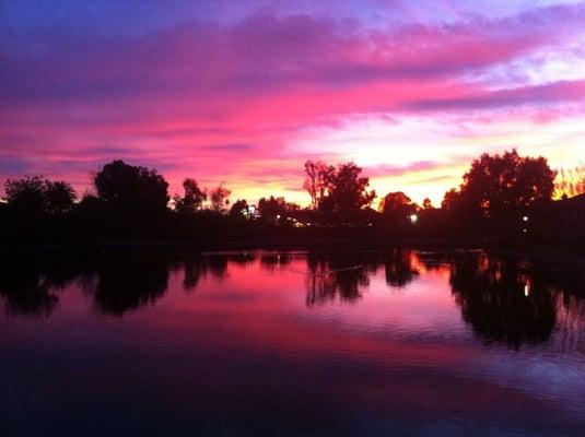 photo of Alexandria G.