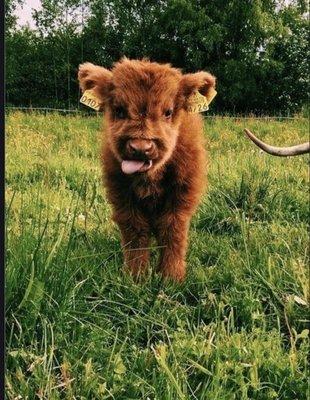 photo of Nathalie A.