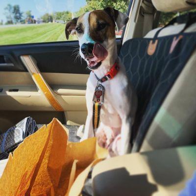 photo of Stephanie S.