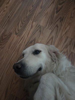 Photo of Irish P.
