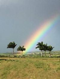 photo of Mary Kay H.