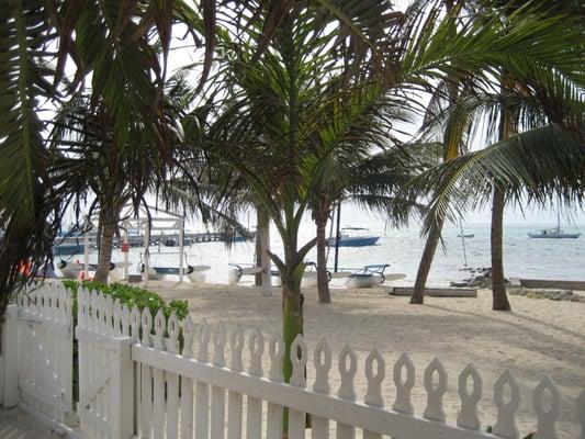 photo of Carol-Ann V.