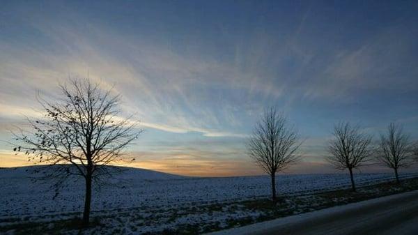 photo of Chernenko F.