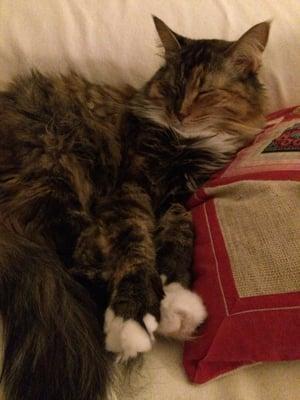 photo of Laura Ann G.