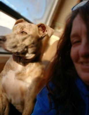 Photo of Amy L.