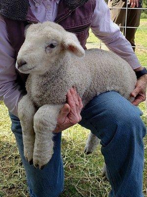 photo of Catherine F.