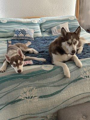 photo of Kimberly P.