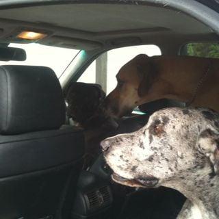 photo of Cheyenne L.