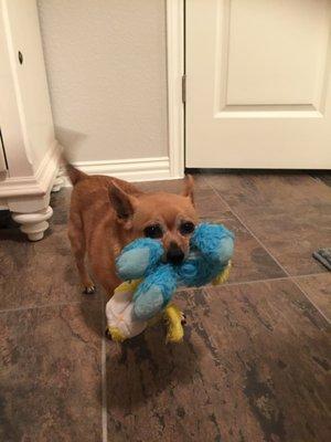 photo of Michelle H.