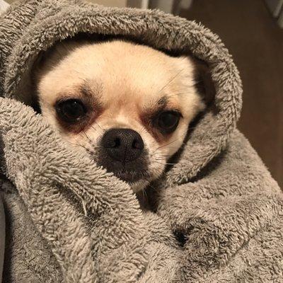 Photo of Jennifer T.