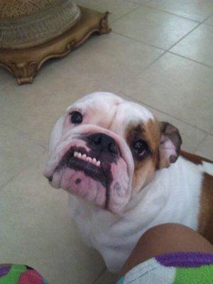 photo of Alexander S.