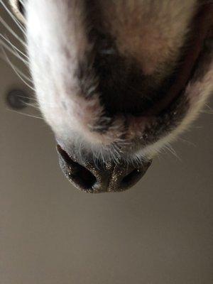 photo of Jennifer H.