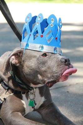 Photo of Moose's Mom M.