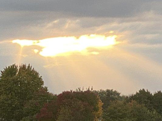 photo of Britanny M.