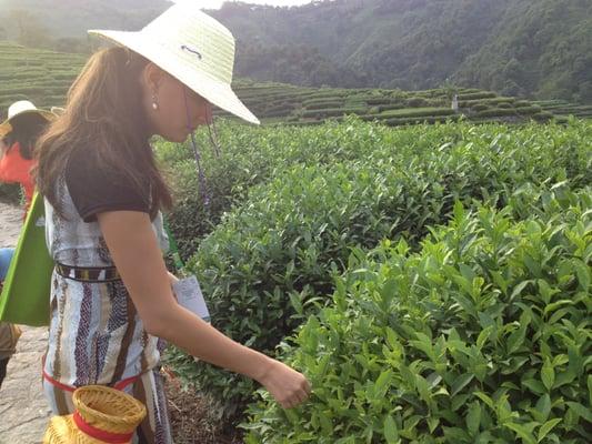 photo of Patricia P.