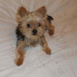 photo of Stephanie I.