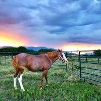 photo of Virginia K.